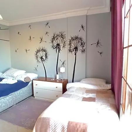 Inn Homelike *